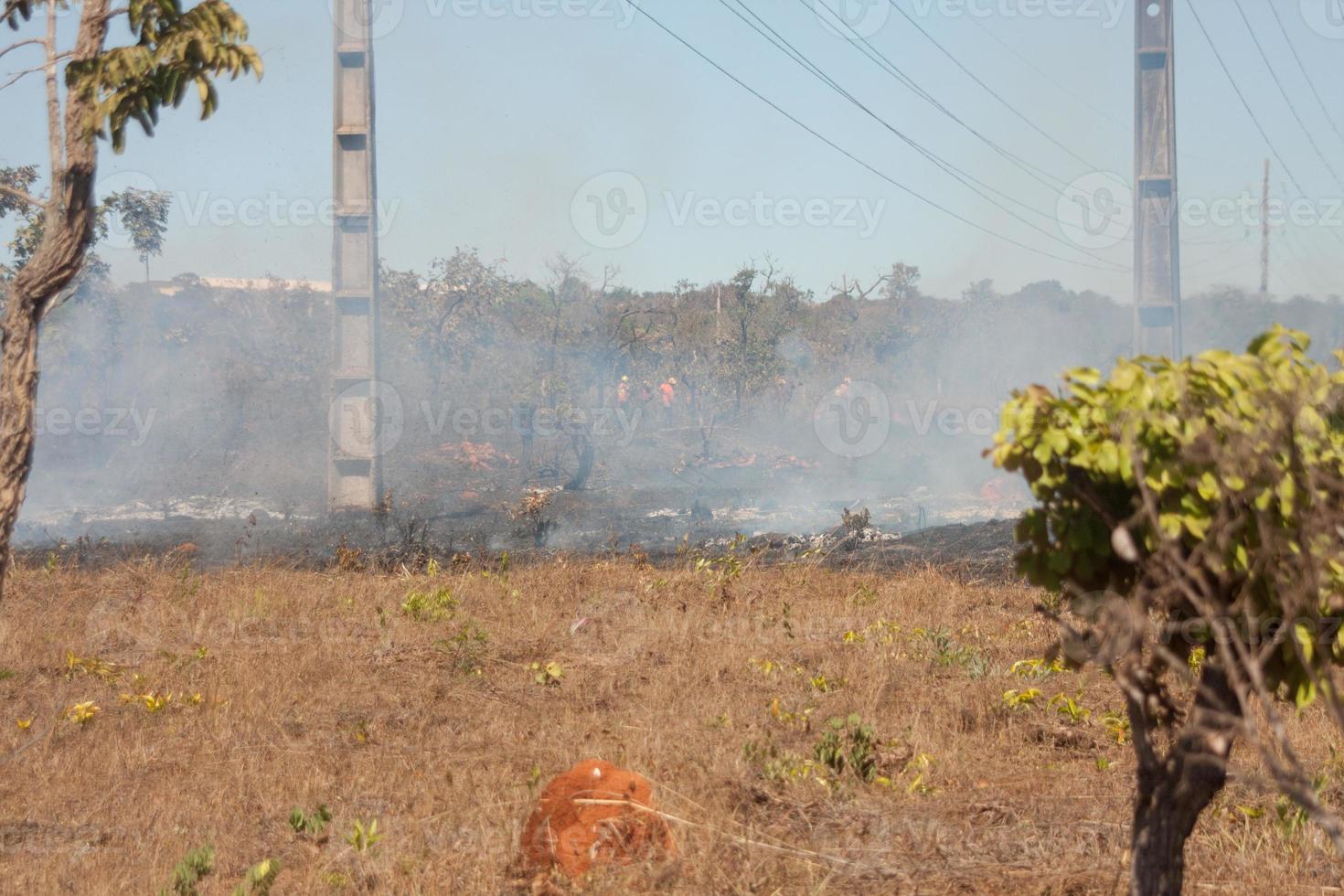 A brush fire near the Karriri-Xoco and Tuxa Indian Reservation in the Northwest section of Brasilia, Brazil photo