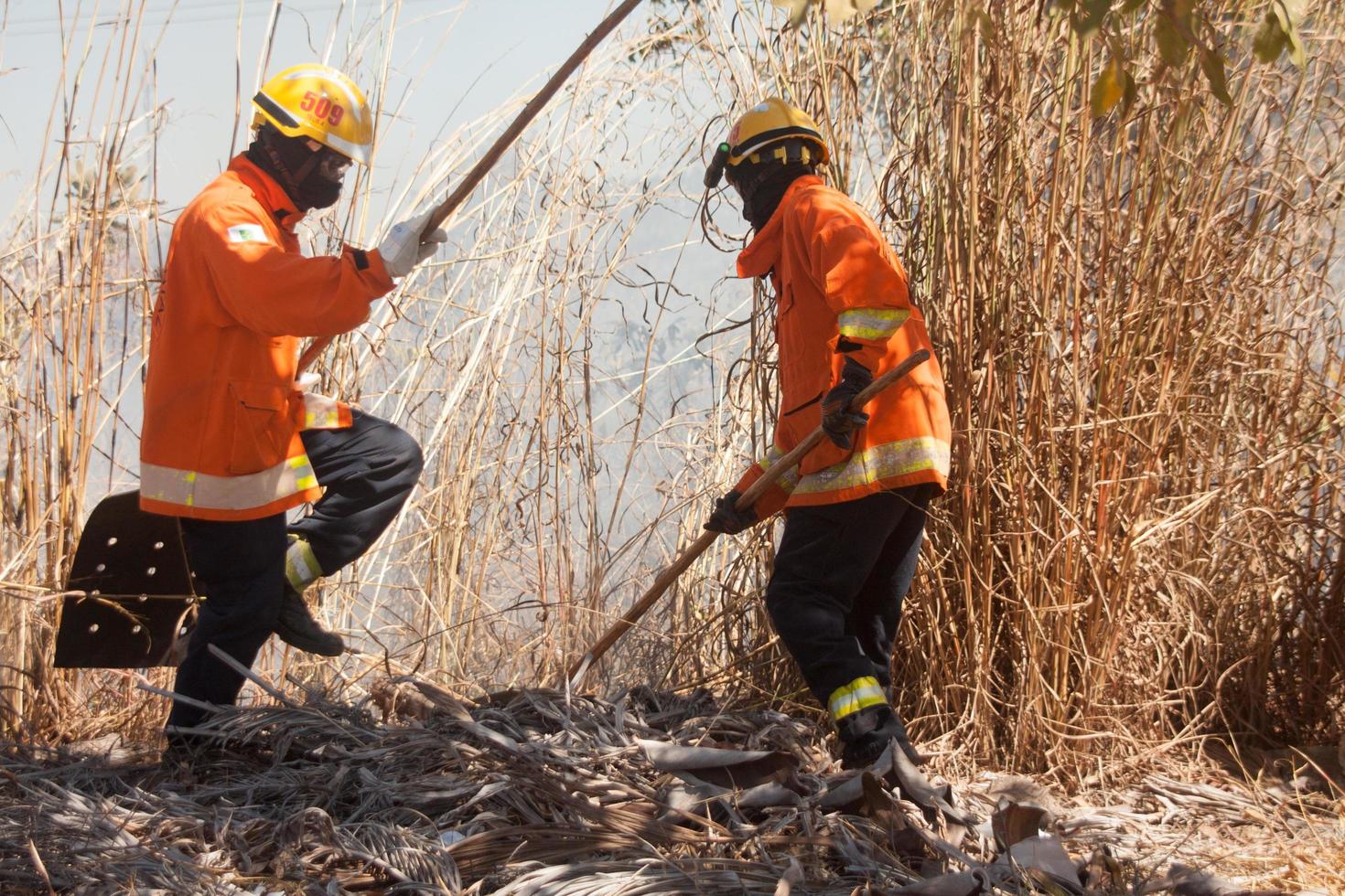 Brasilia, Brazil, July, 26 2022 Fire fighters working on putting out a blaze near the Karriri-Xoco and Tuxa Indian Reservation in the Northwest section of Brasilia photo