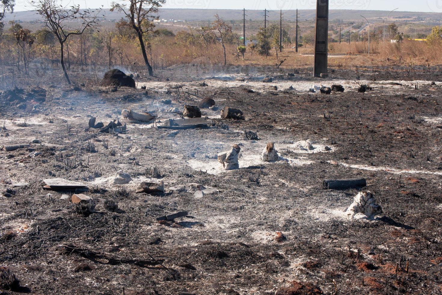 The Charred remains of a brush fire possibly arson near the Karriri-Xoco and Tuxa Indian Reservation in the Northwest section of Brasilia, Brazil photo