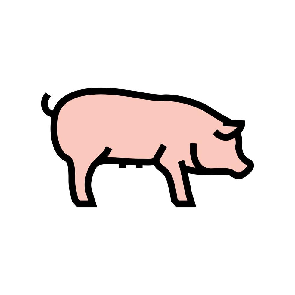 pig domestic animal color icon vector illustration