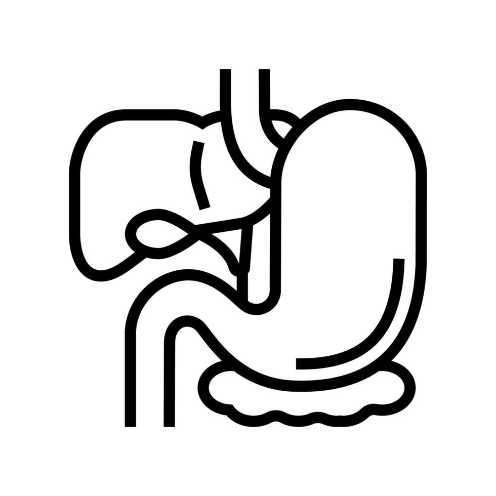 ilustración de vector de icono de línea de tracto gastrointestinal