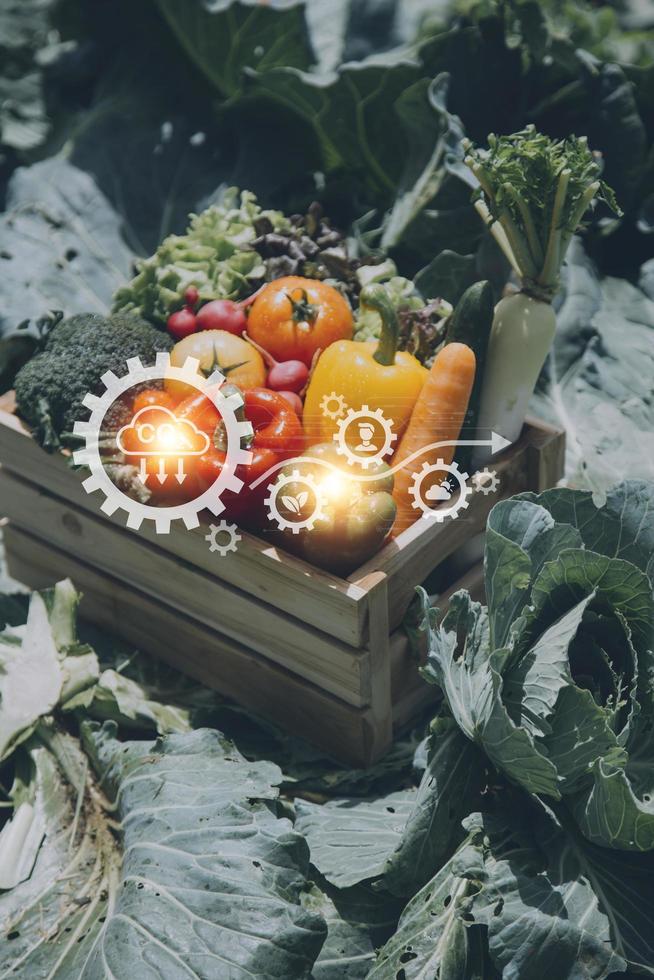 Futuristic businessman farms vegetables and crops using modern AI technology using mobile phones, temperature and humidity sensors, water tracking, climate control, holographic data data icons. photo