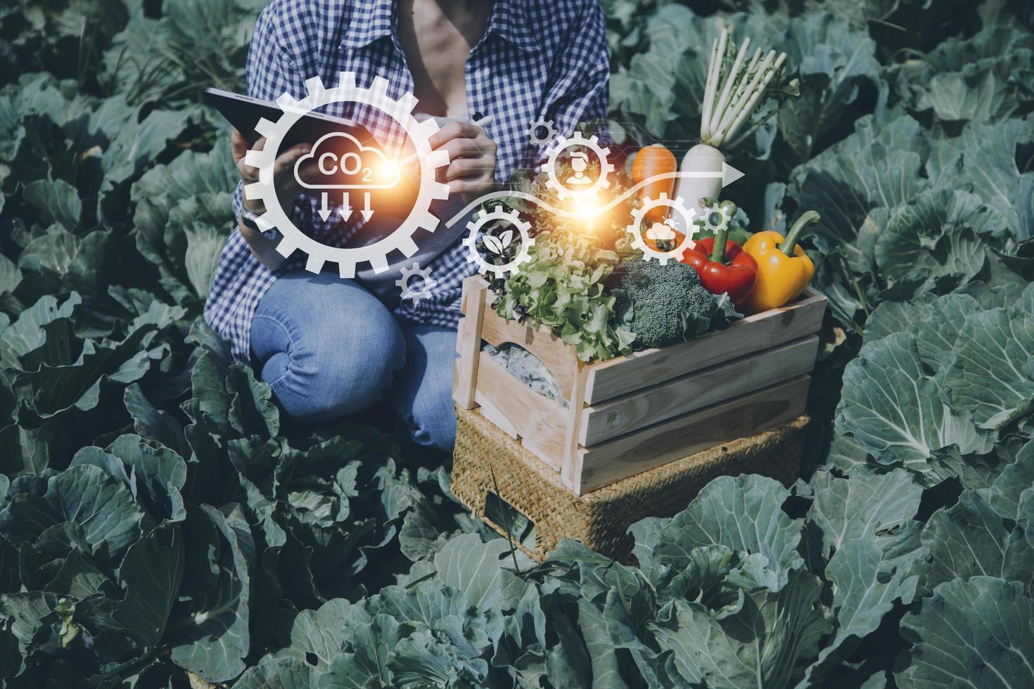 Futuristic businessman farms vegetables and crops using modern AI technology using mobile phones, temperature and humidity sensors, water tracking, climate control, holographic data data icons. photo