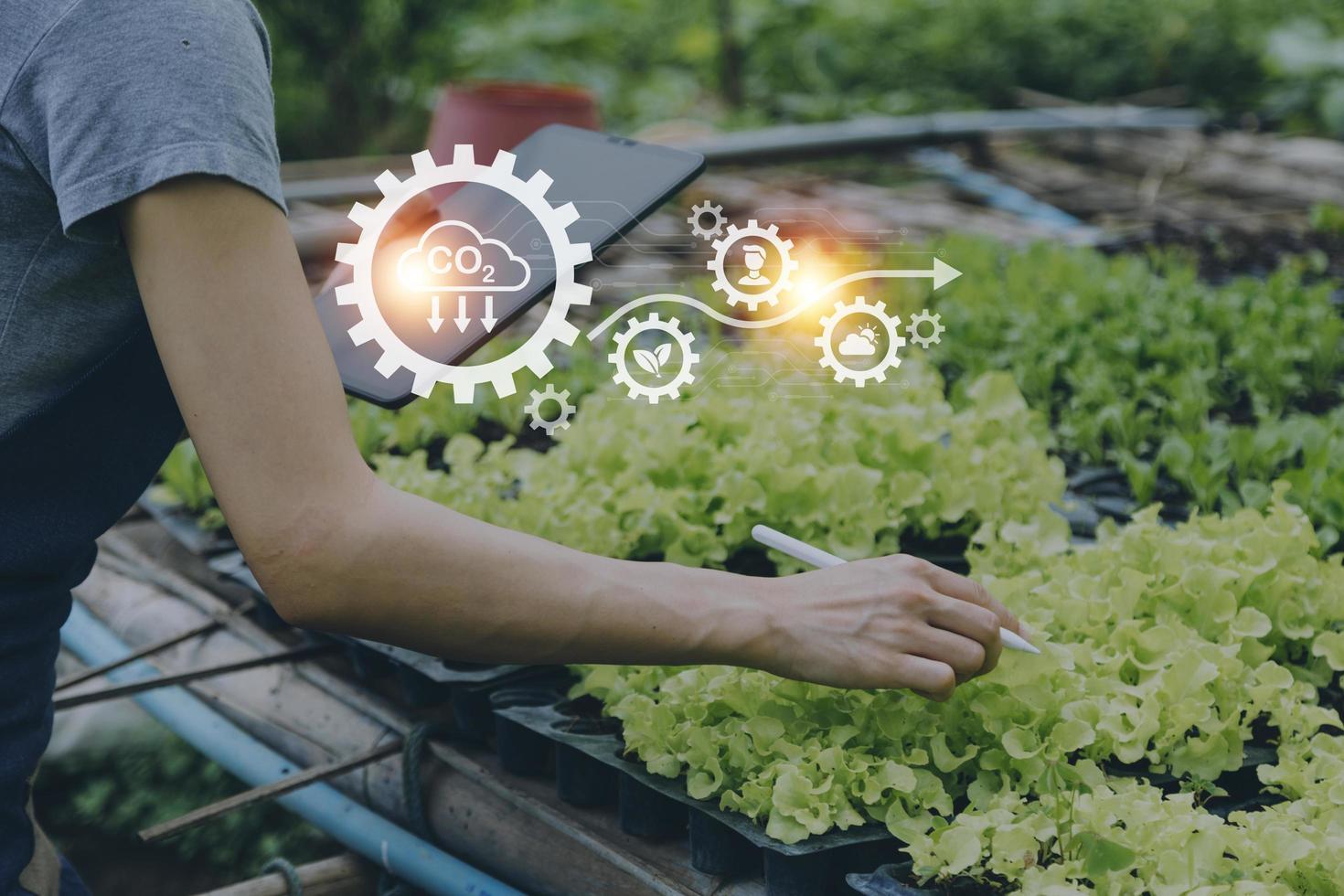 Futuristic businessman farms vegetables and crops using modern AI technology using mobile phones, temperature and humidity sensors, water tracking, climate control, holographic data data icons. photo