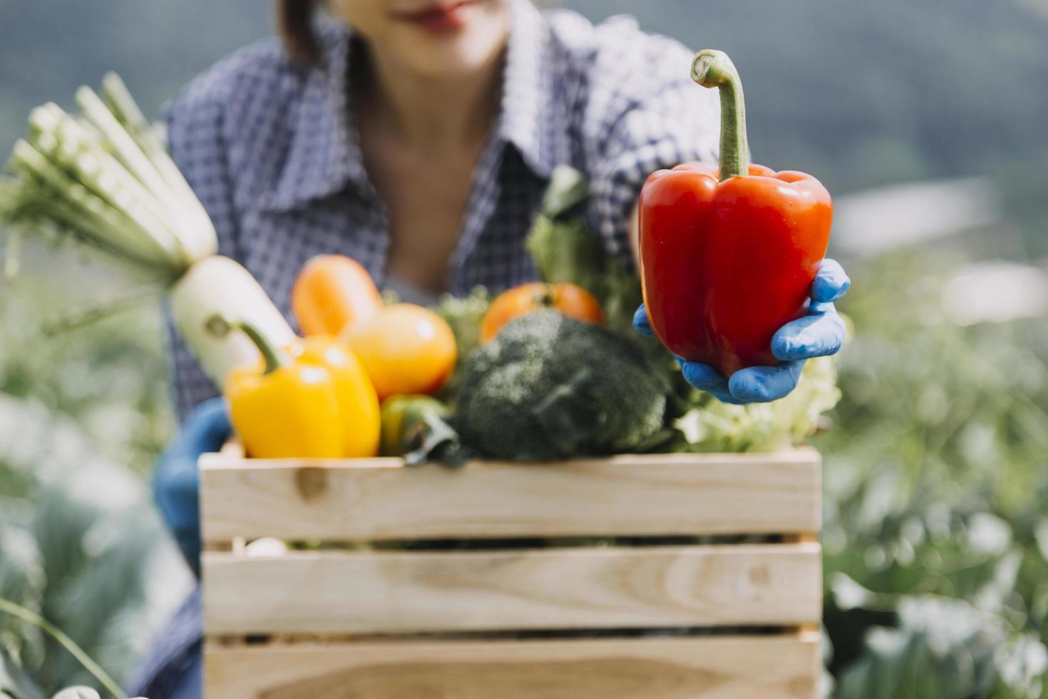 female farmer working early on farm holding wood basket of fresh vegetables and tablet photo