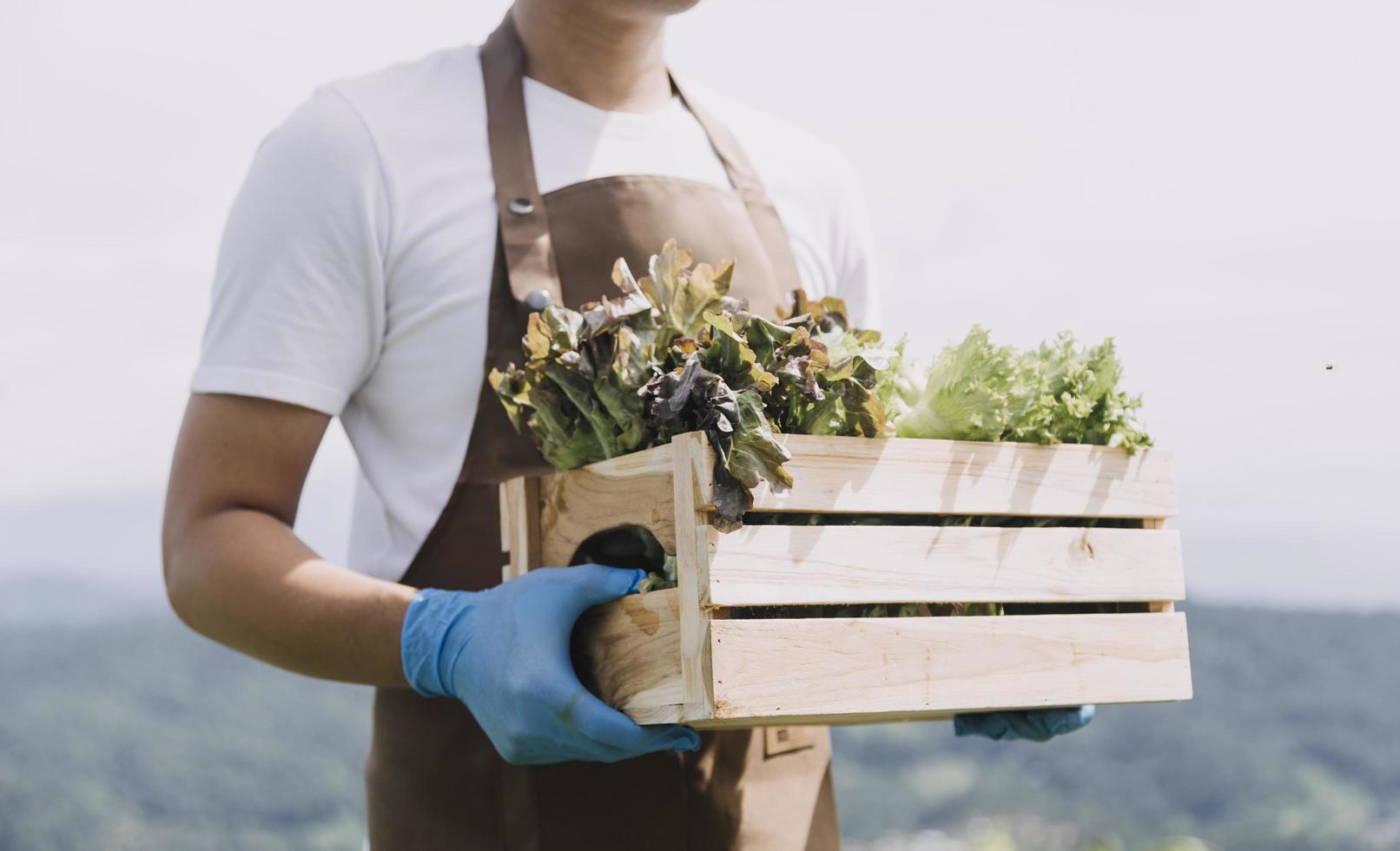 female farmer working early on farm holding wood basket of fresh vegetables and tablet photo