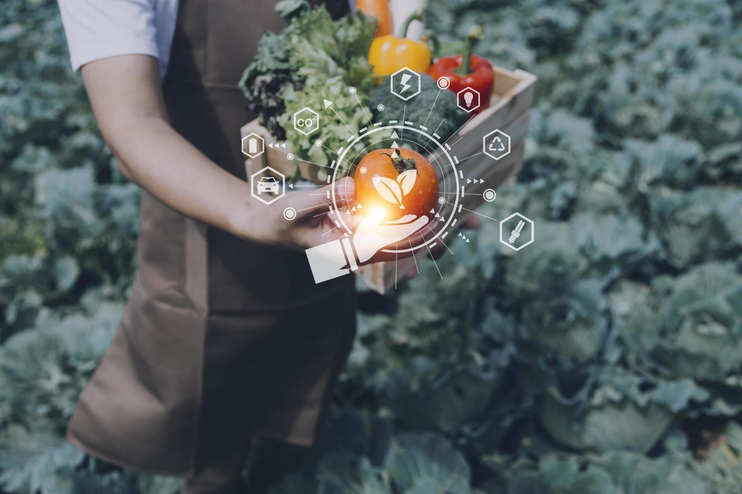 un hombre de negocios futurista cultiva verduras y cultivos usando tecnología moderna de inteligencia artificial usando teléfonos móviles, sensores de temperatura y humedad, rastreo de agua, control climático, íconos de datos holográficos. foto