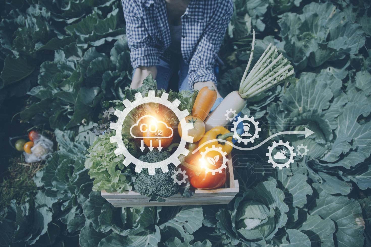un hombre de negocios futurista cultiva verduras y cultivos usando tecnología moderna de inteligencia artificial usando teléfonos móviles, sensores de temperatura y humedad, rastreo de agua, control climático, íconos de datos holográficos. foto