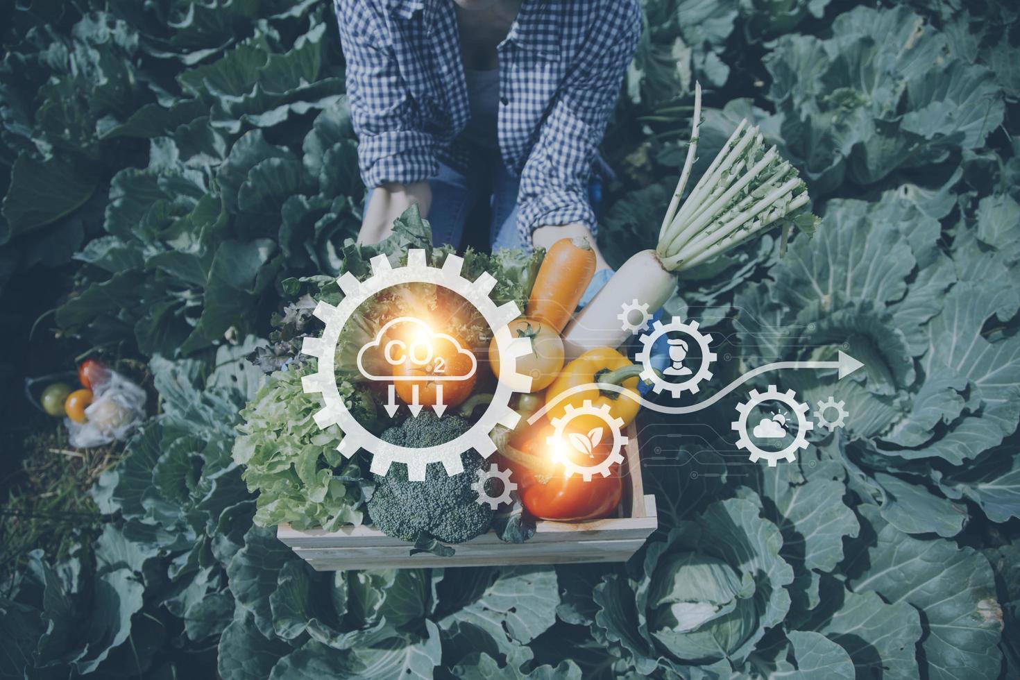 Futuristic businessman farms vegetables and crops using modern AI technology using mobile phones, temperature and humidity sensors, water tracking, climate control, holographic data data icons. photo