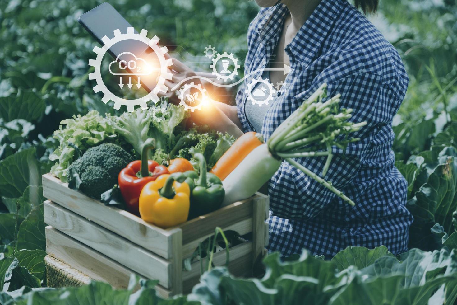 un hombre de negocios futurista cultiva verduras y cultivos usando tecnología moderna de inteligencia artificial usando teléfonos móviles, sensores de temperatura y humedad, rastreo de agua, control climático, íconos de datos holográficos. foto