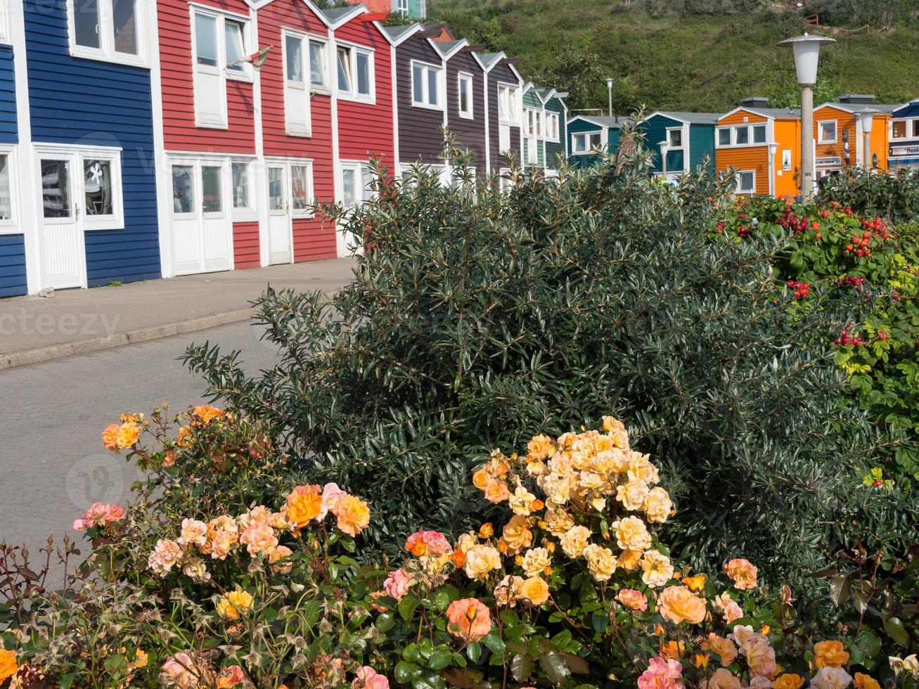 helgoland island in the north sea photo