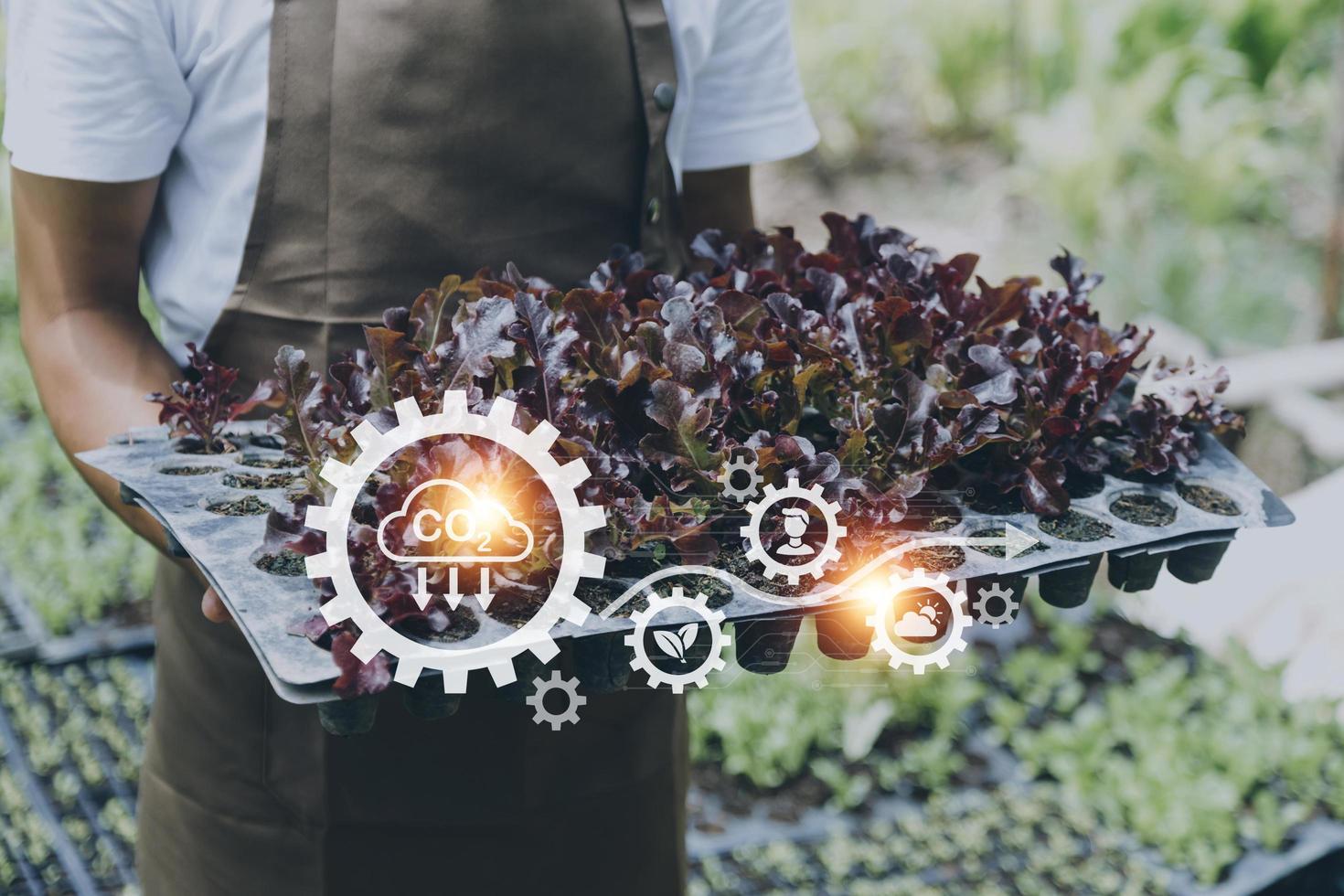 un hombre de negocios futurista cultiva verduras y cultivos usando tecnología moderna de inteligencia artificial usando teléfonos móviles, sensores de temperatura y humedad, rastreo de agua, control climático, íconos de datos holográficos. foto