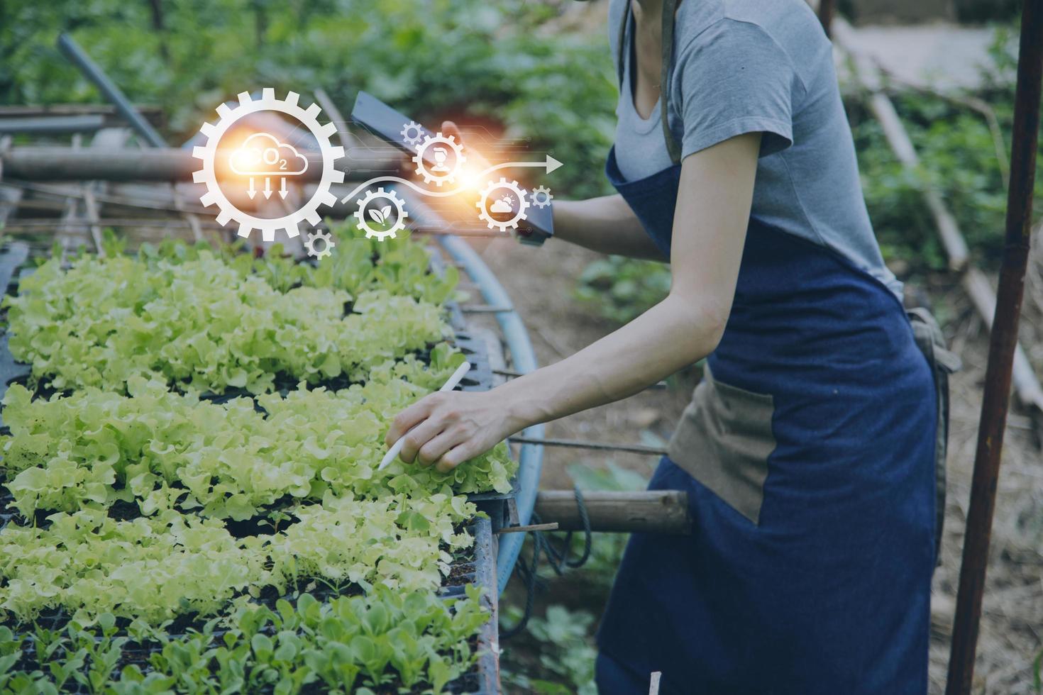 un hombre de negocios futurista cultiva verduras y cultivos usando tecnología moderna de inteligencia artificial usando teléfonos móviles, sensores de temperatura y humedad, rastreo de agua, control climático, íconos de datos holográficos. foto