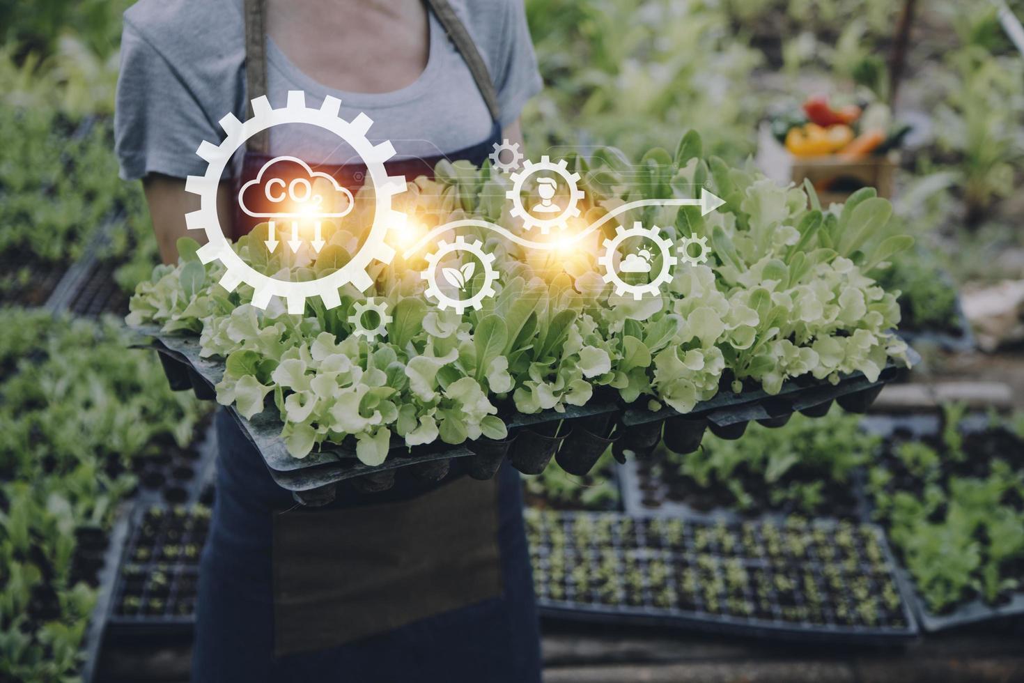 Futuristic businessman farms vegetables and crops using modern AI technology using mobile phones, temperature and humidity sensors, water tracking, climate control, holographic data data icons. photo