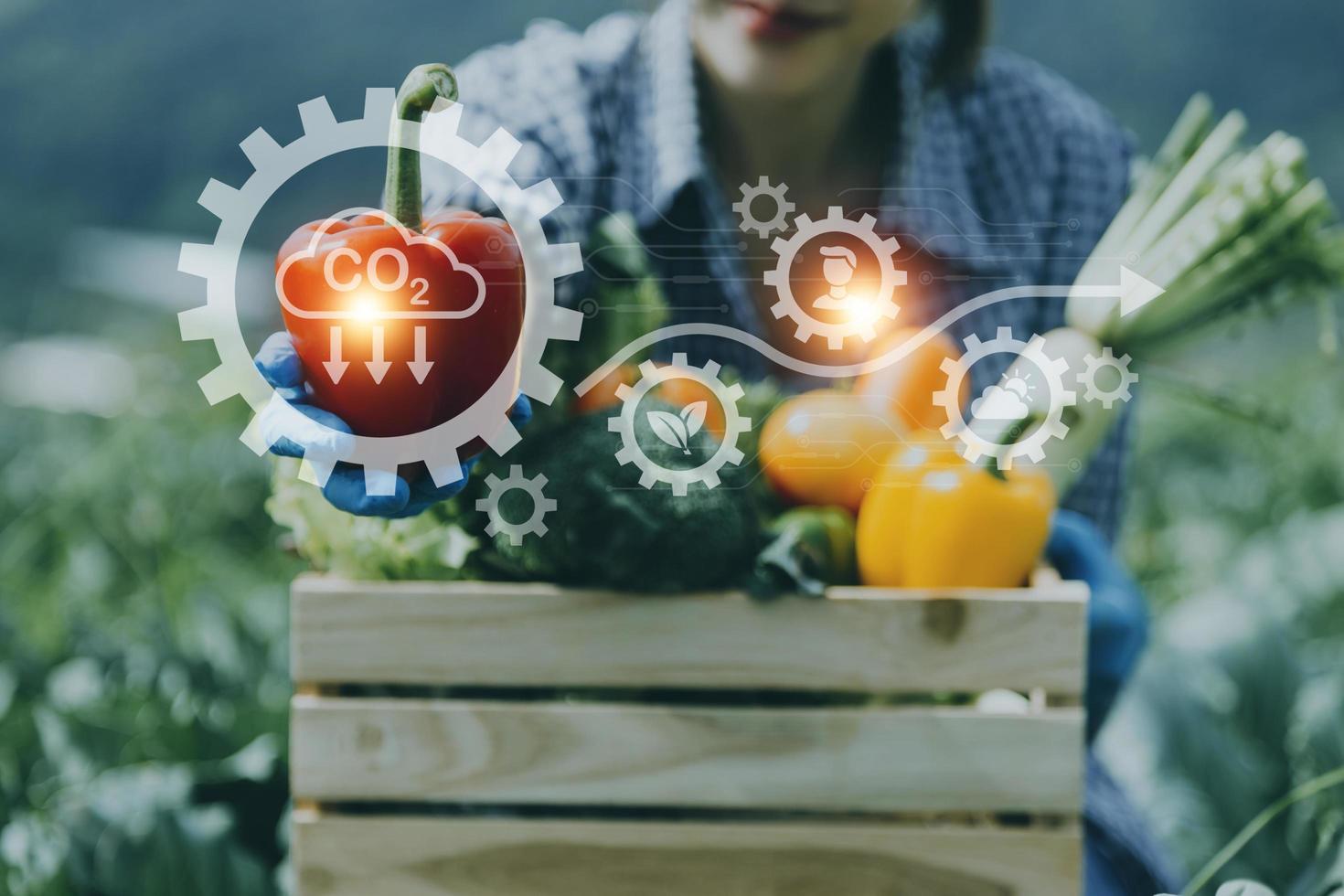 Futuristic businessman farms vegetables and crops using modern AI technology using mobile phones, temperature and humidity sensors, water tracking, climate control, holographic data data icons. photo