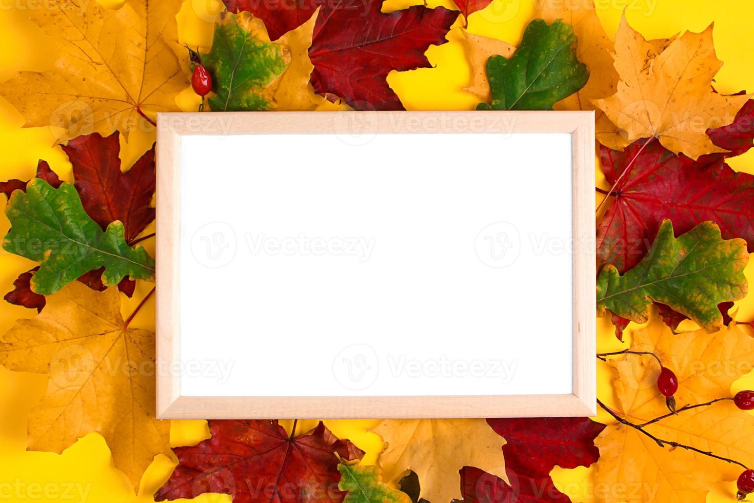 Empty wooden frame mock up and autumn leaves on yellow background. Template for design. photo