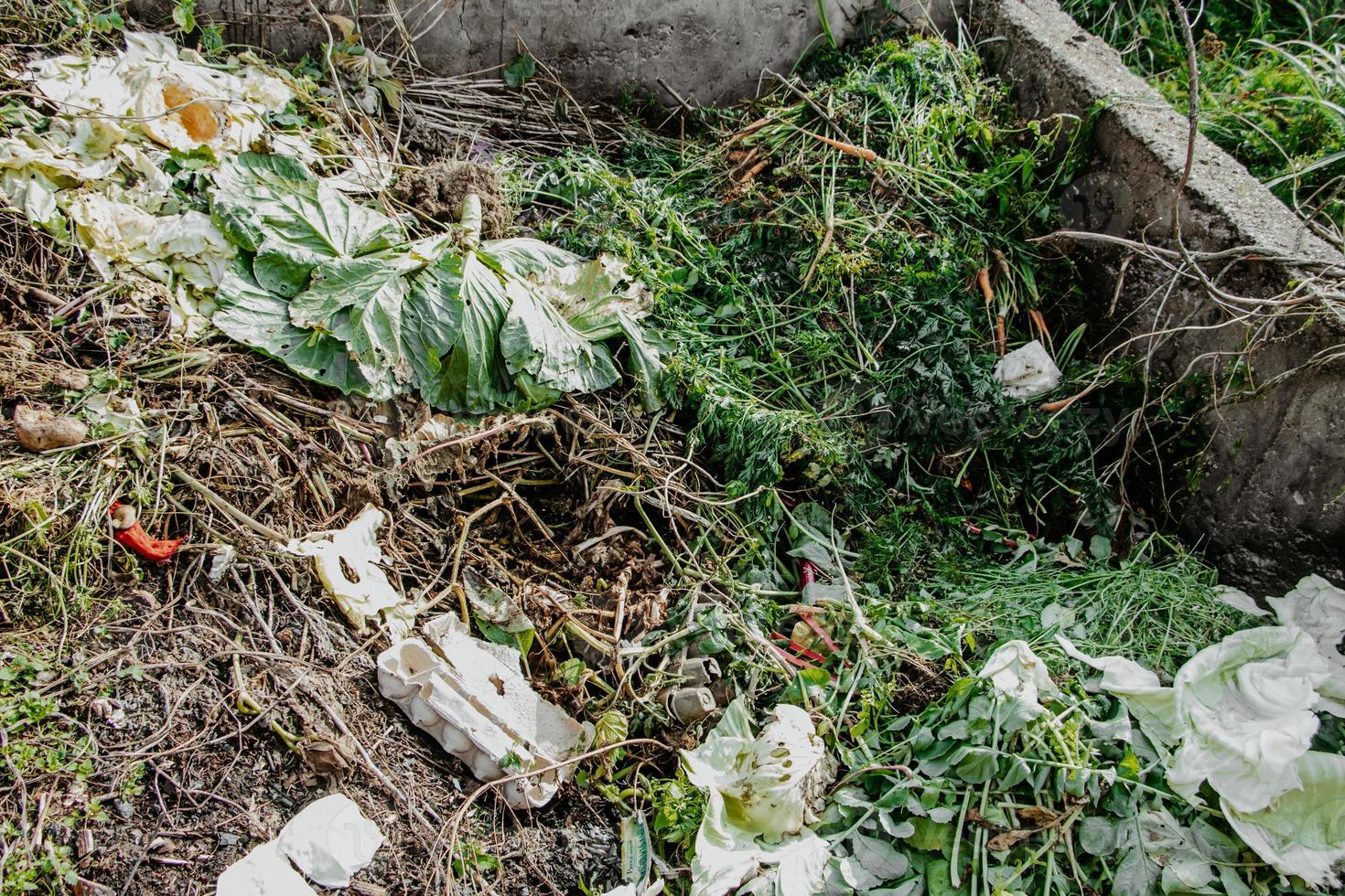 Compost pit for food waste. Concept of organic fertilizers for garden