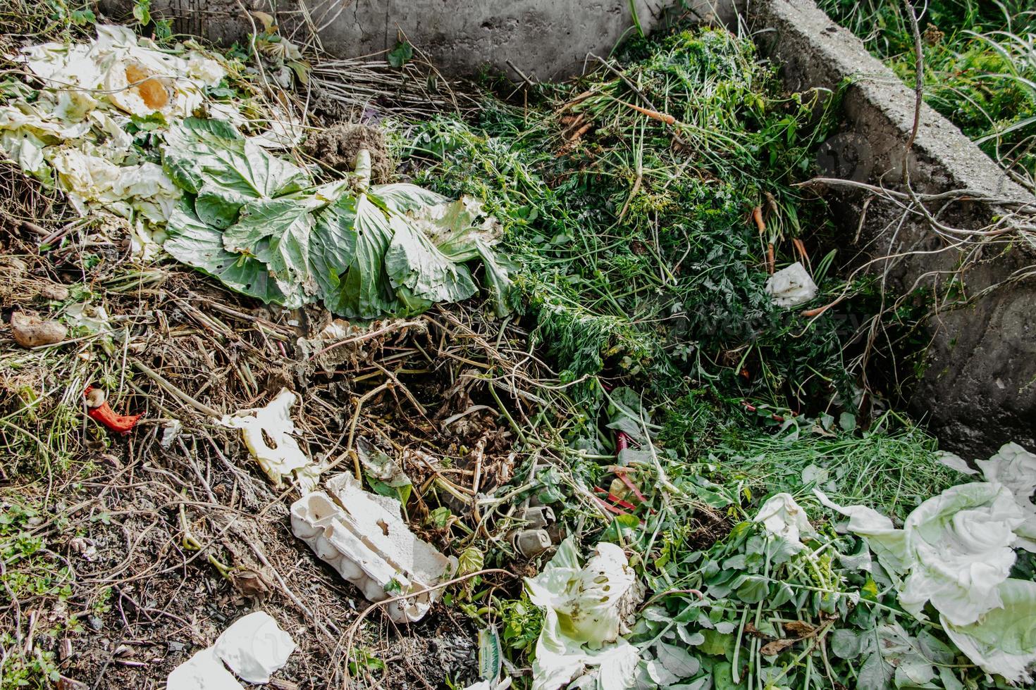 Compost pit for food waste. Concept of organic fertilizers for garden. photo