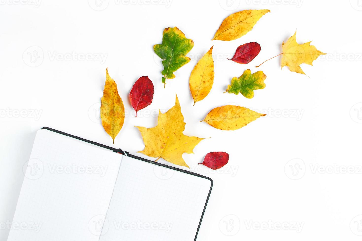 Hello autumn. Blank notebook and yellow fallen leaves on a white background. Beginning of the fall season. photo