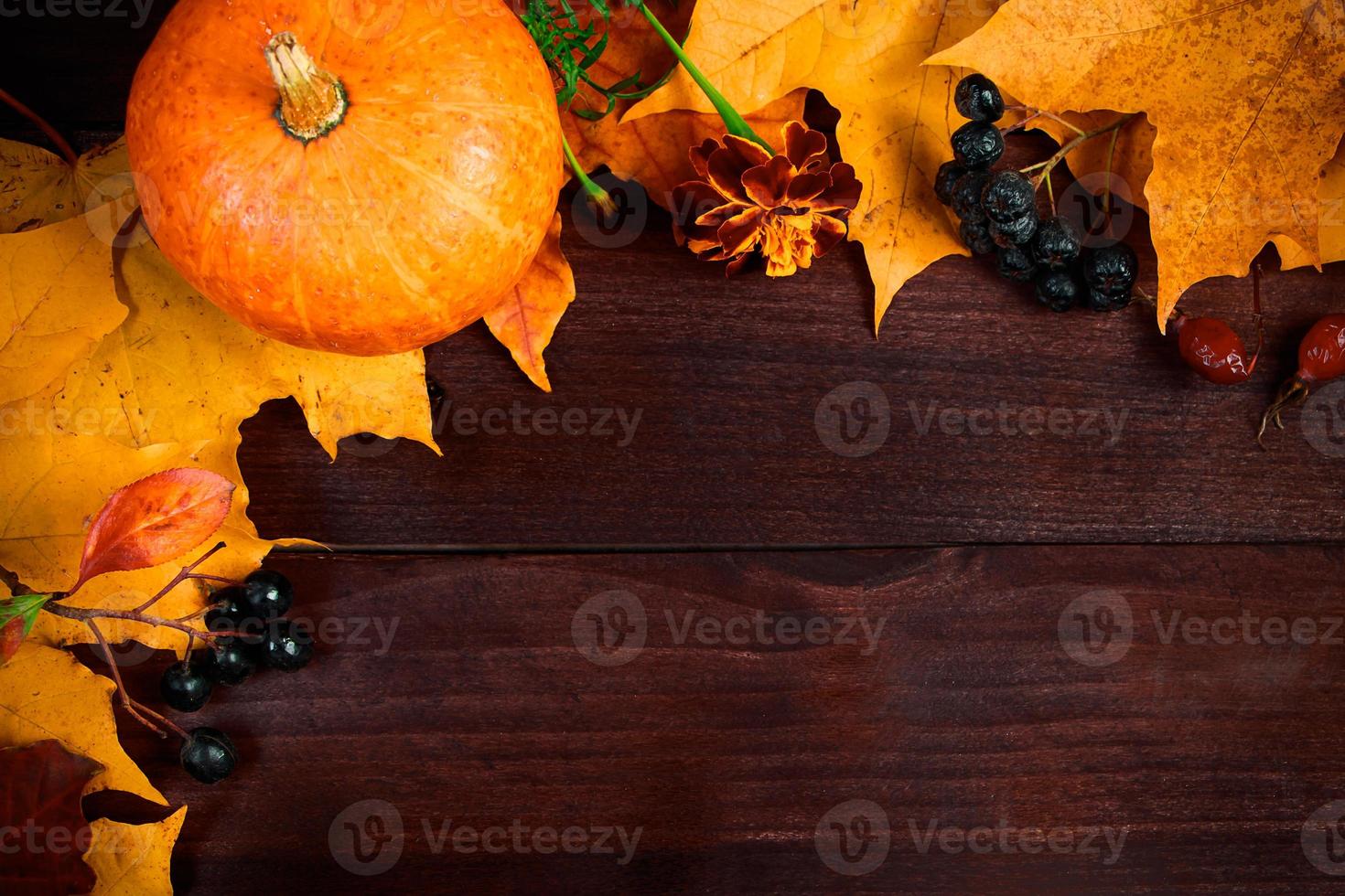 Autumn background. Frame from ripe pumpkins and fallen leaves on wooden boards. Harvest and Thanksgiving concept. photo