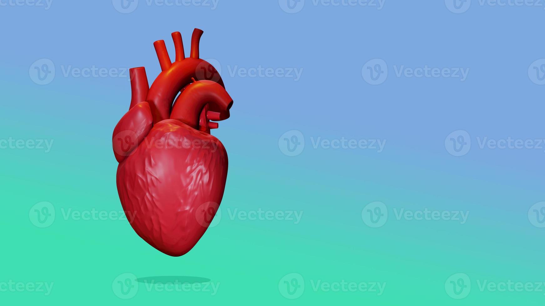 3D render of human heart photo