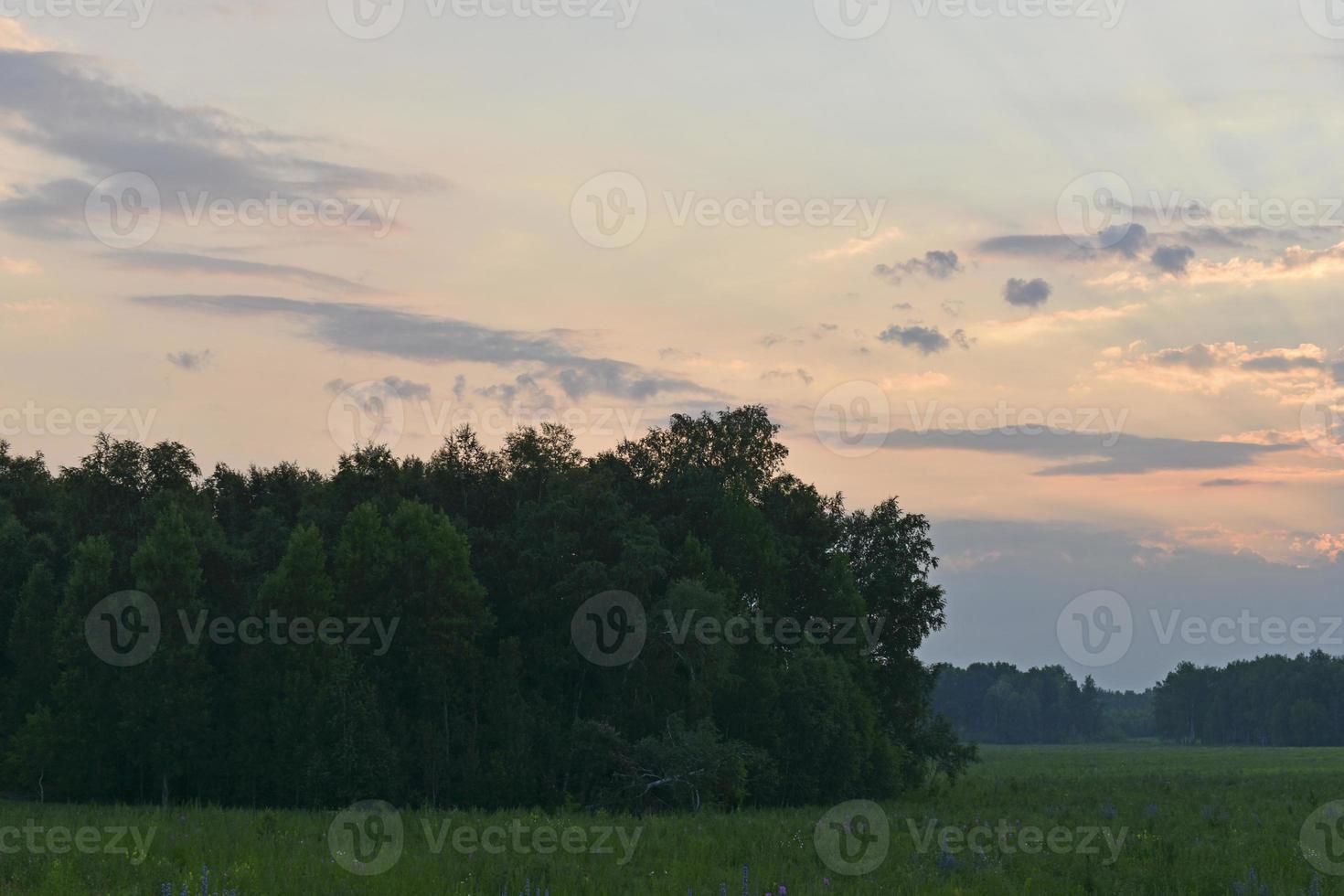 Evening landscape of green forest and multicolored clouds. Beautiful sunset with blue-pink clouds. photo