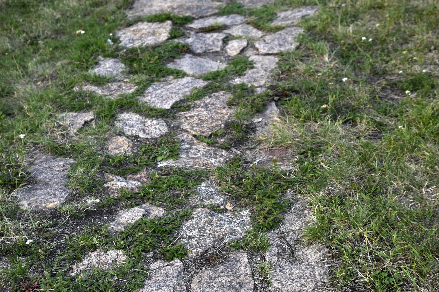 un camino de piedra en el parque y una escalera de granito con escalones. escalones de piedra en el jardín. foto