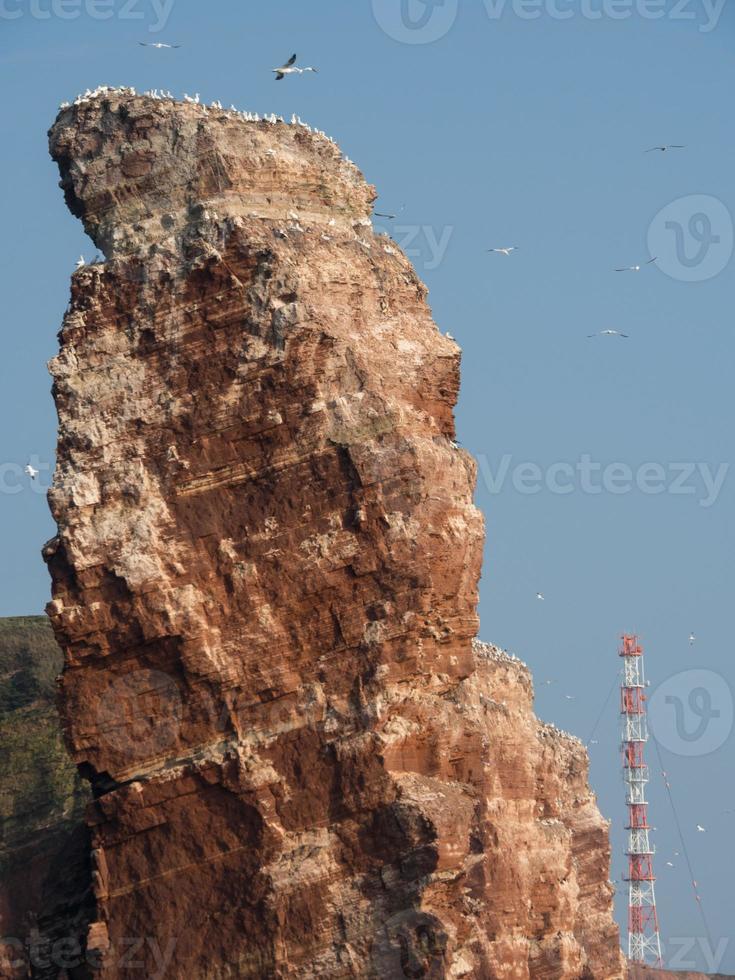 the island of Helgoland photo