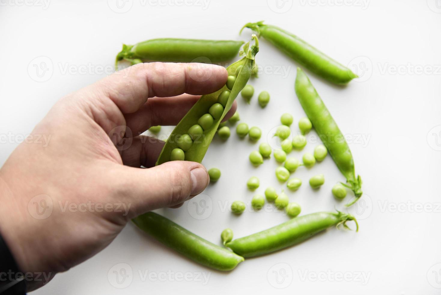 Green fresh peas in hand on a white background. An open string of fresh peas. photo