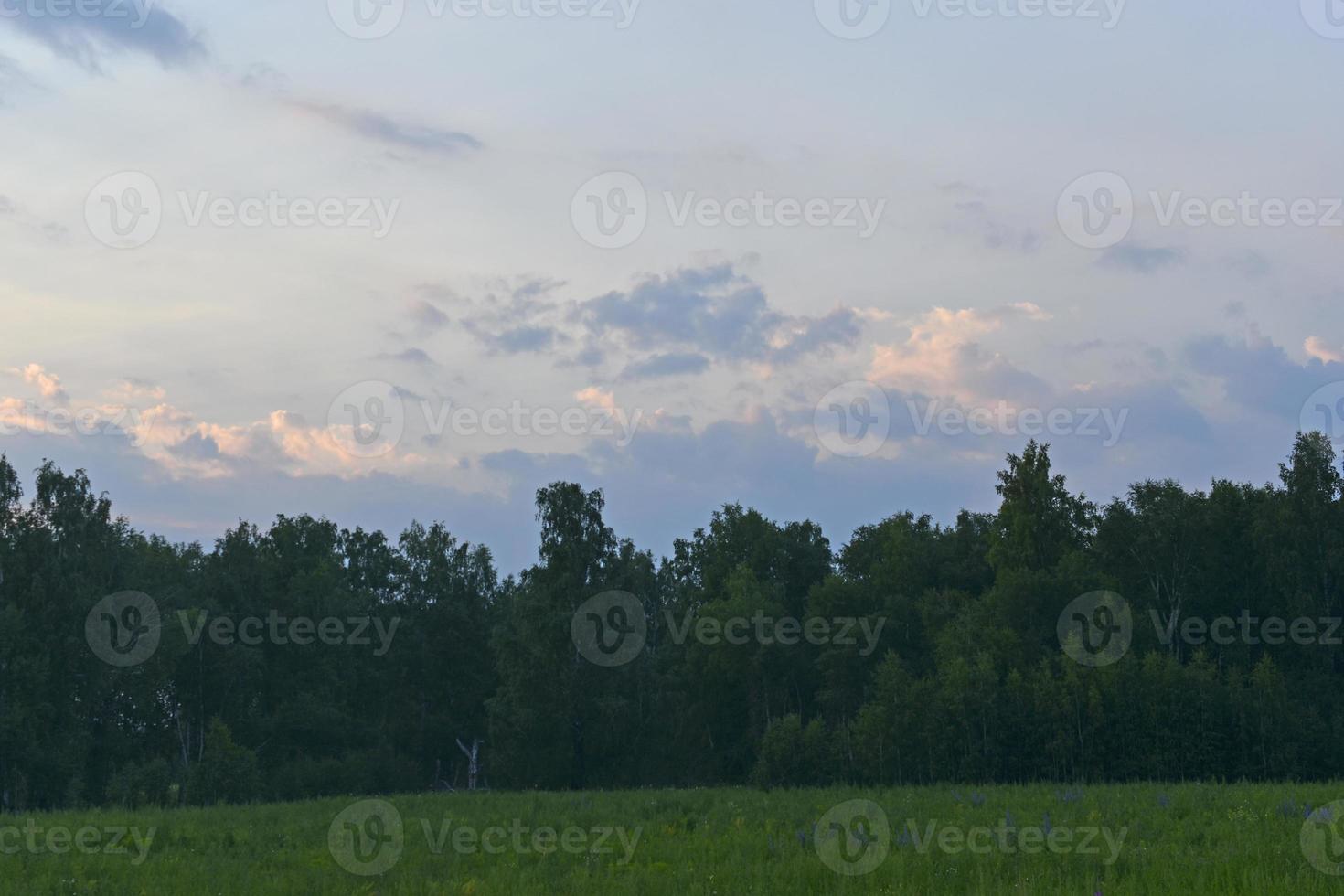 Evening landscape of green forest and multicolored clouds. Beautiful sunset with blue-pink clouds. photo