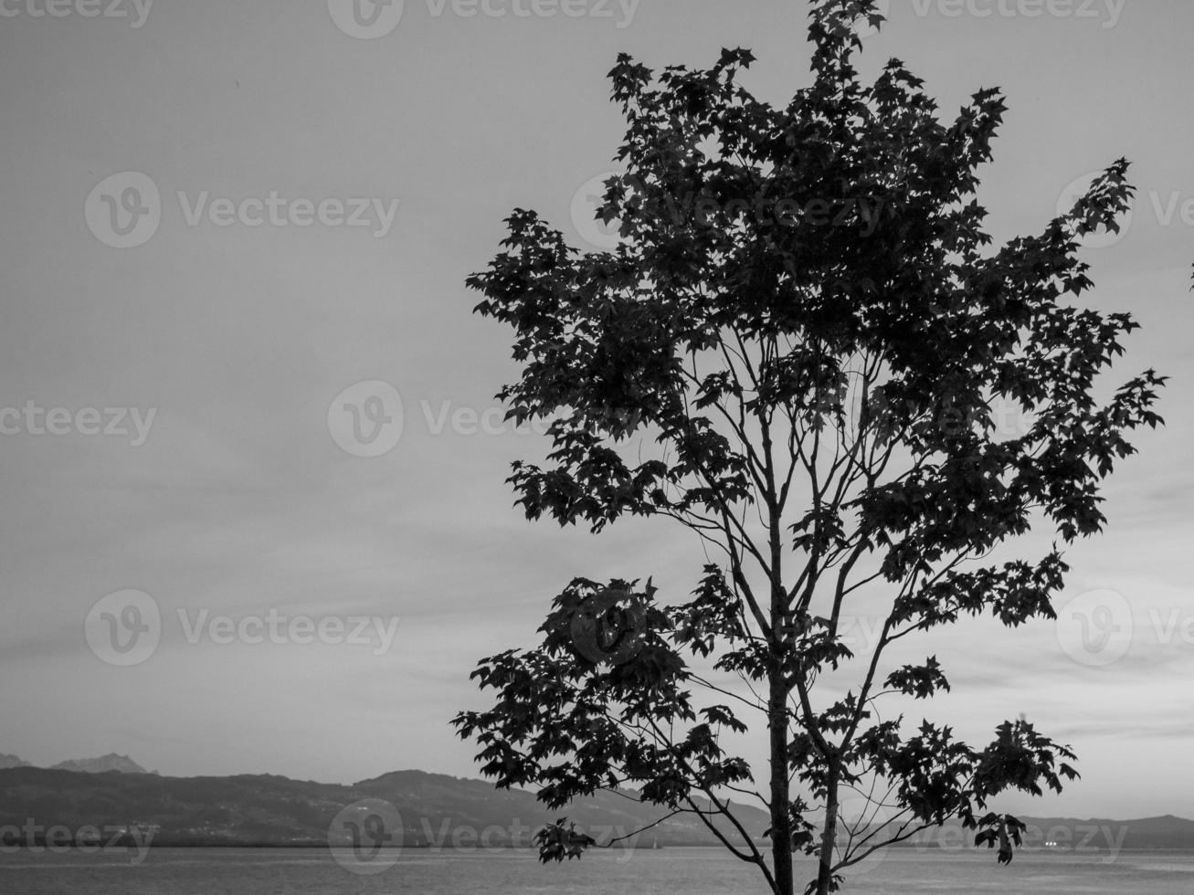 the bavarian city of Lindau photo