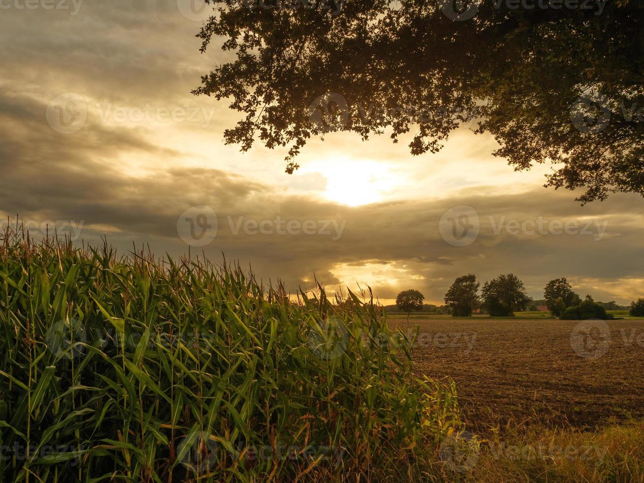 the small village weseke in westphalia photo