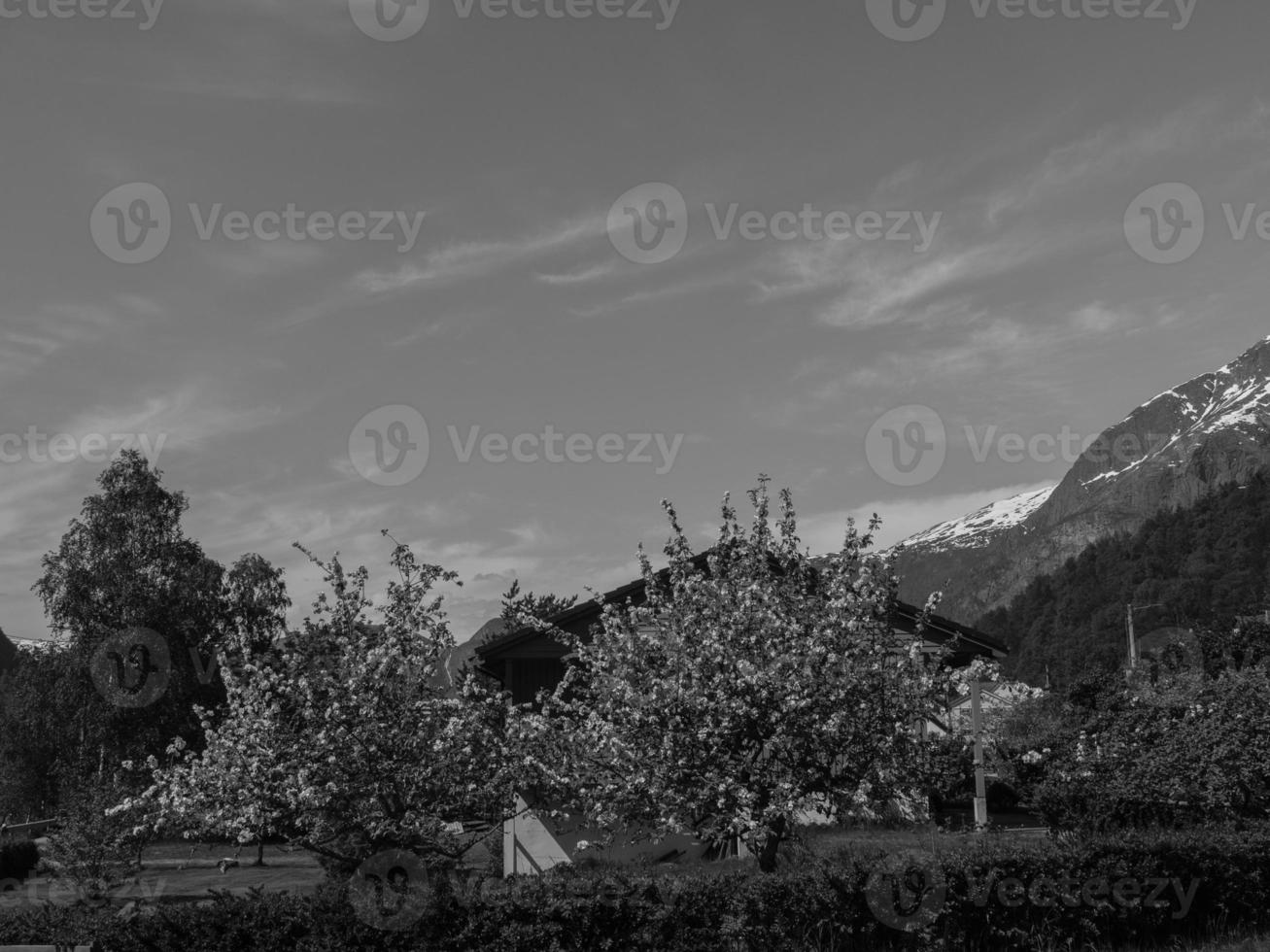 Fjord cruise in norway photo