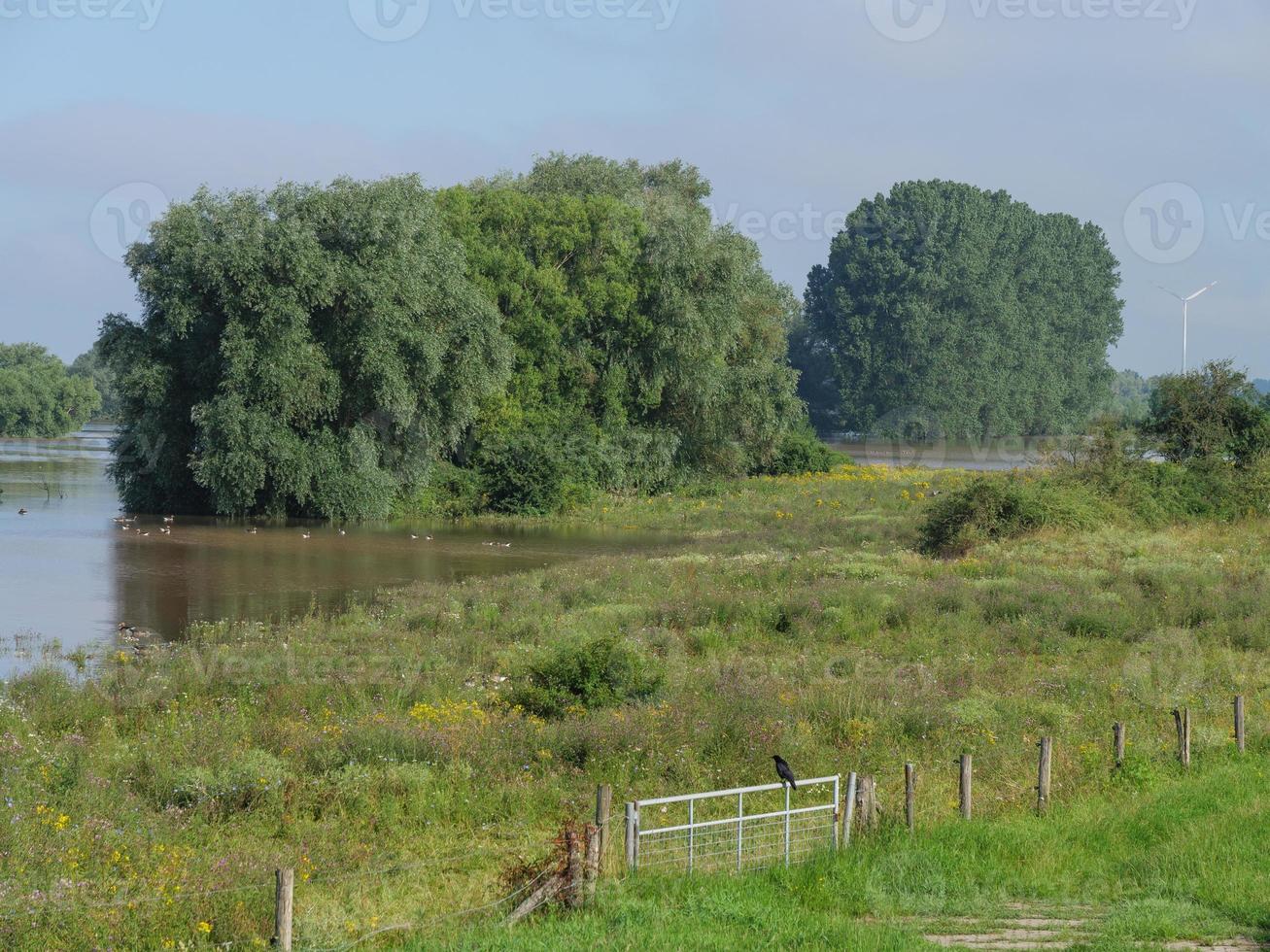 the river rhine near bislich photo