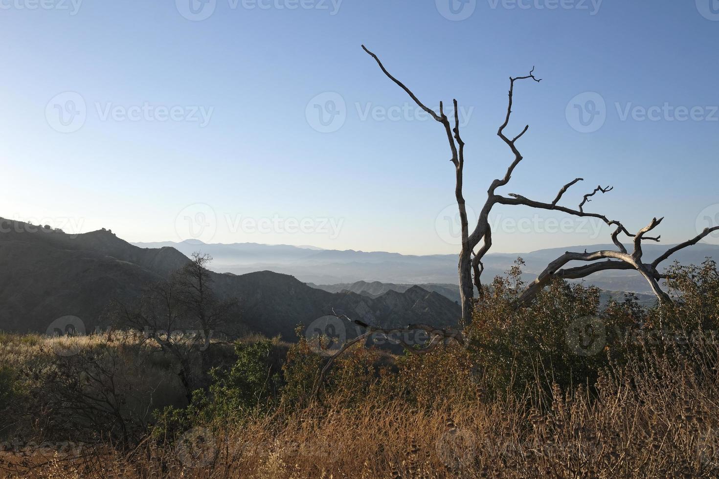 Landscape of the Ed Davis Park at Towsley Canyon - California, USA photo