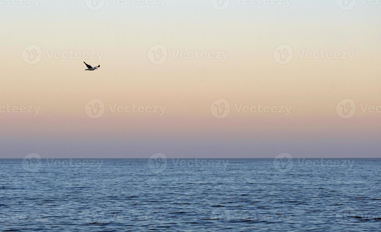 Beautiful sky over the ocean during sunset or sunrise photo