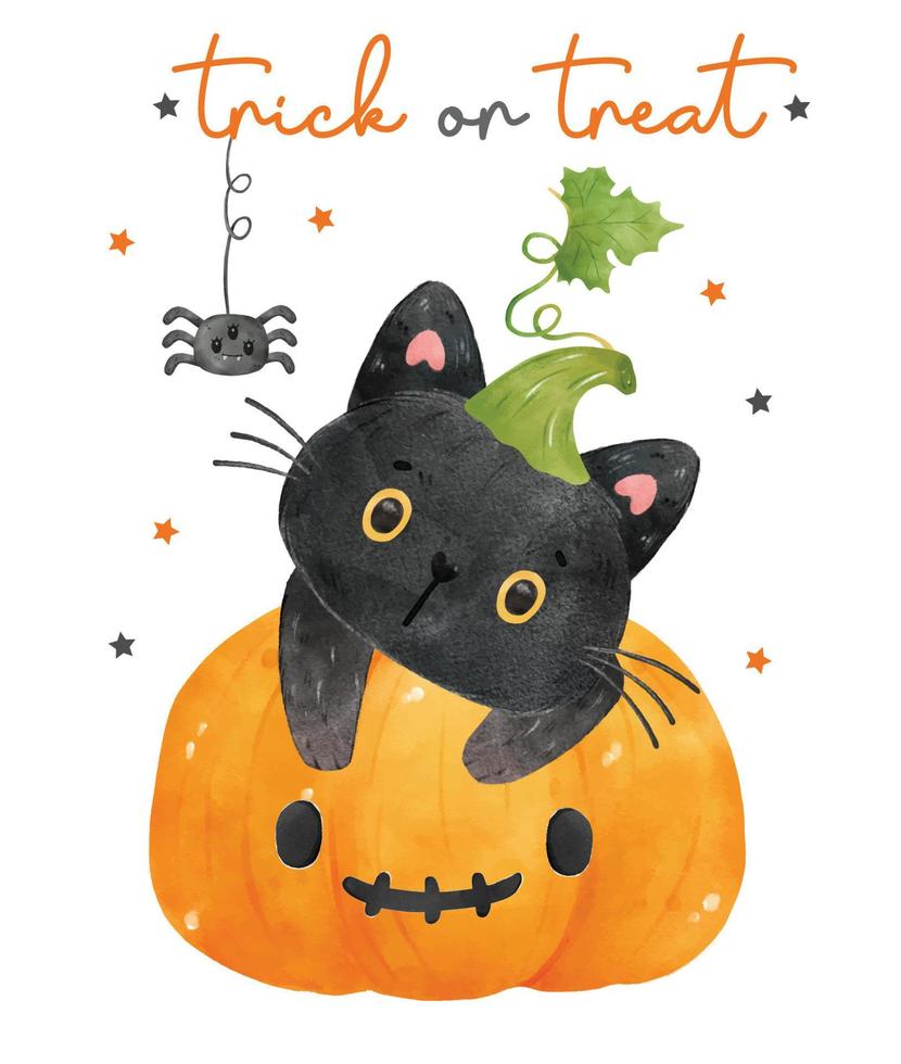 cute watercolor curious black kitten cats in orange pumpkin with spider, Trick or Treat,  watercolor vector isolated on white background