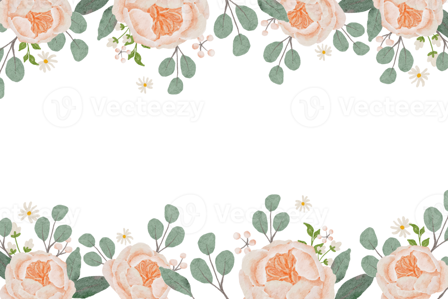 watercolor orange peach blooming rose bouquet wreath frame square banner background png