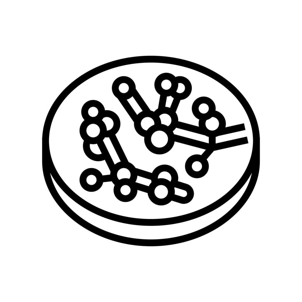 candida hongos albicans línea icono vector ilustración