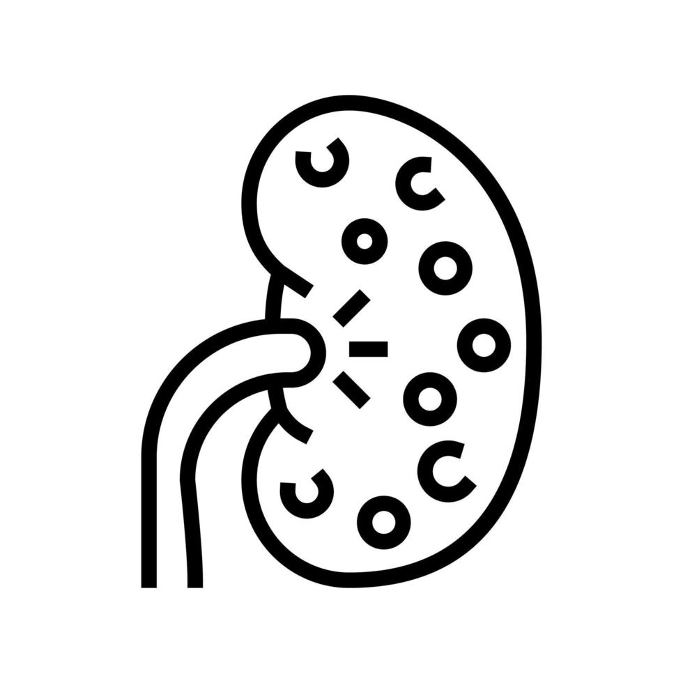 nephritis kidney line icon vector illustration