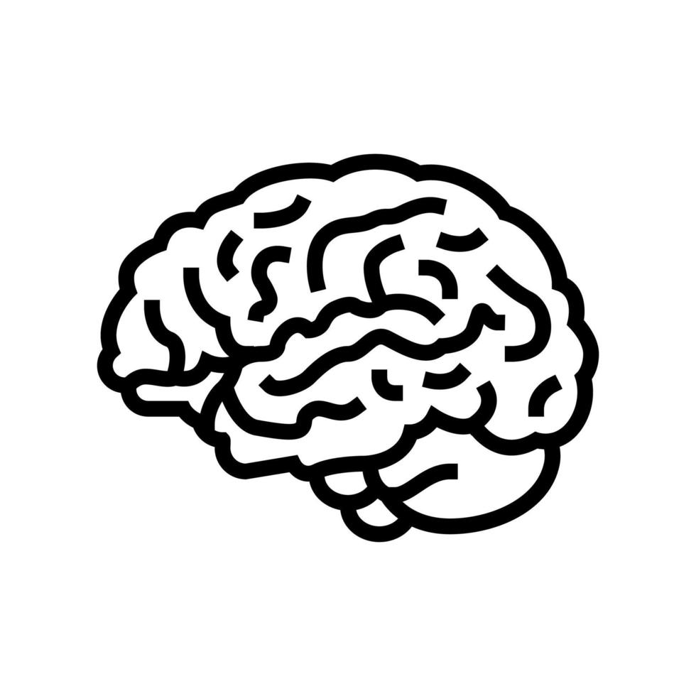 cerebro anatomía órgano línea icono vector ilustración