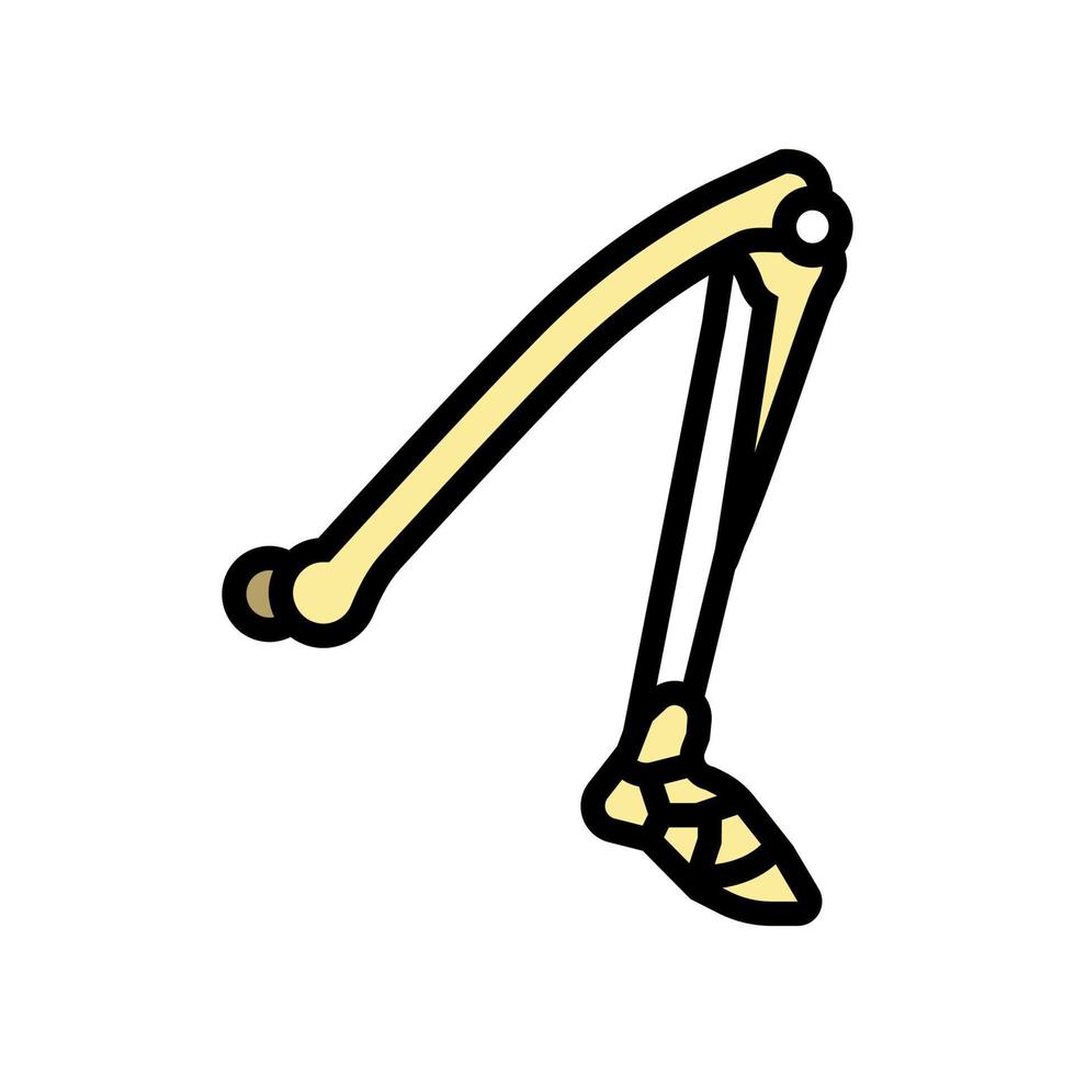 leg bone color icon vector illustration