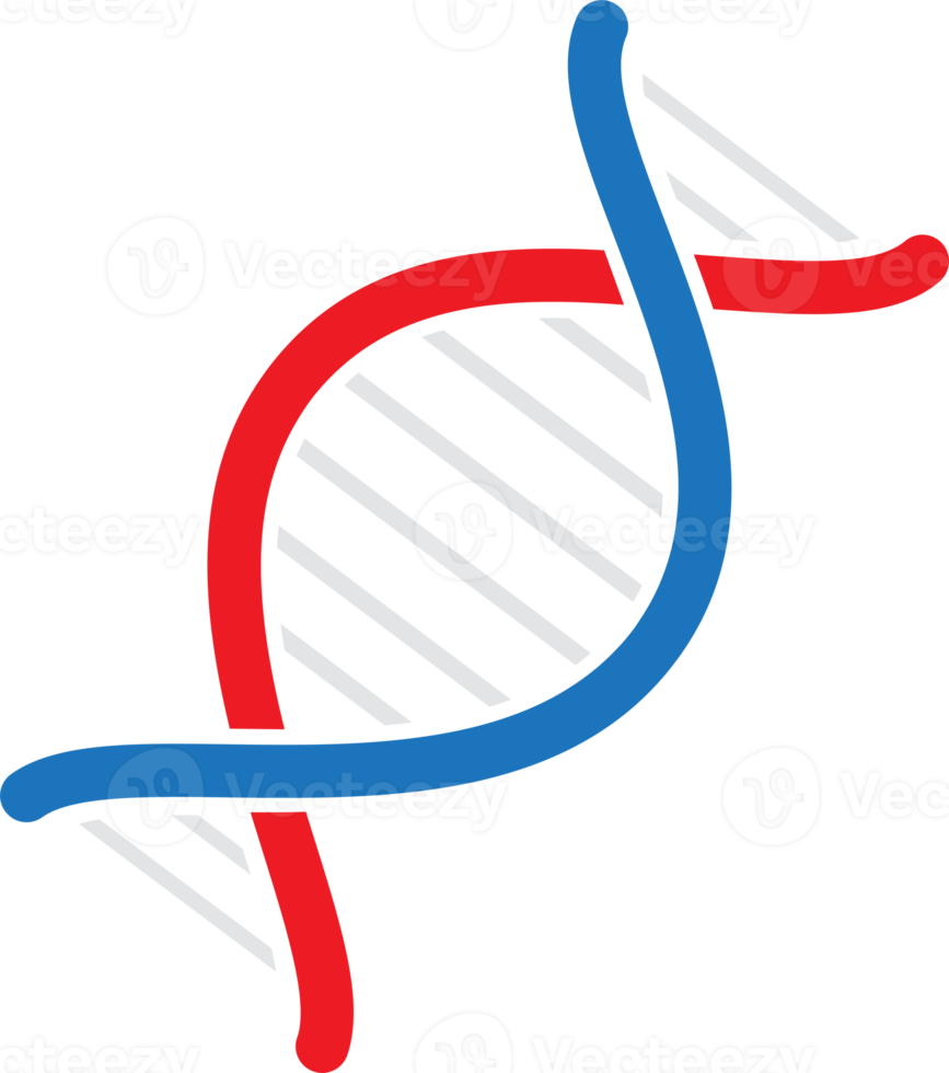 DNA Helix Icon png