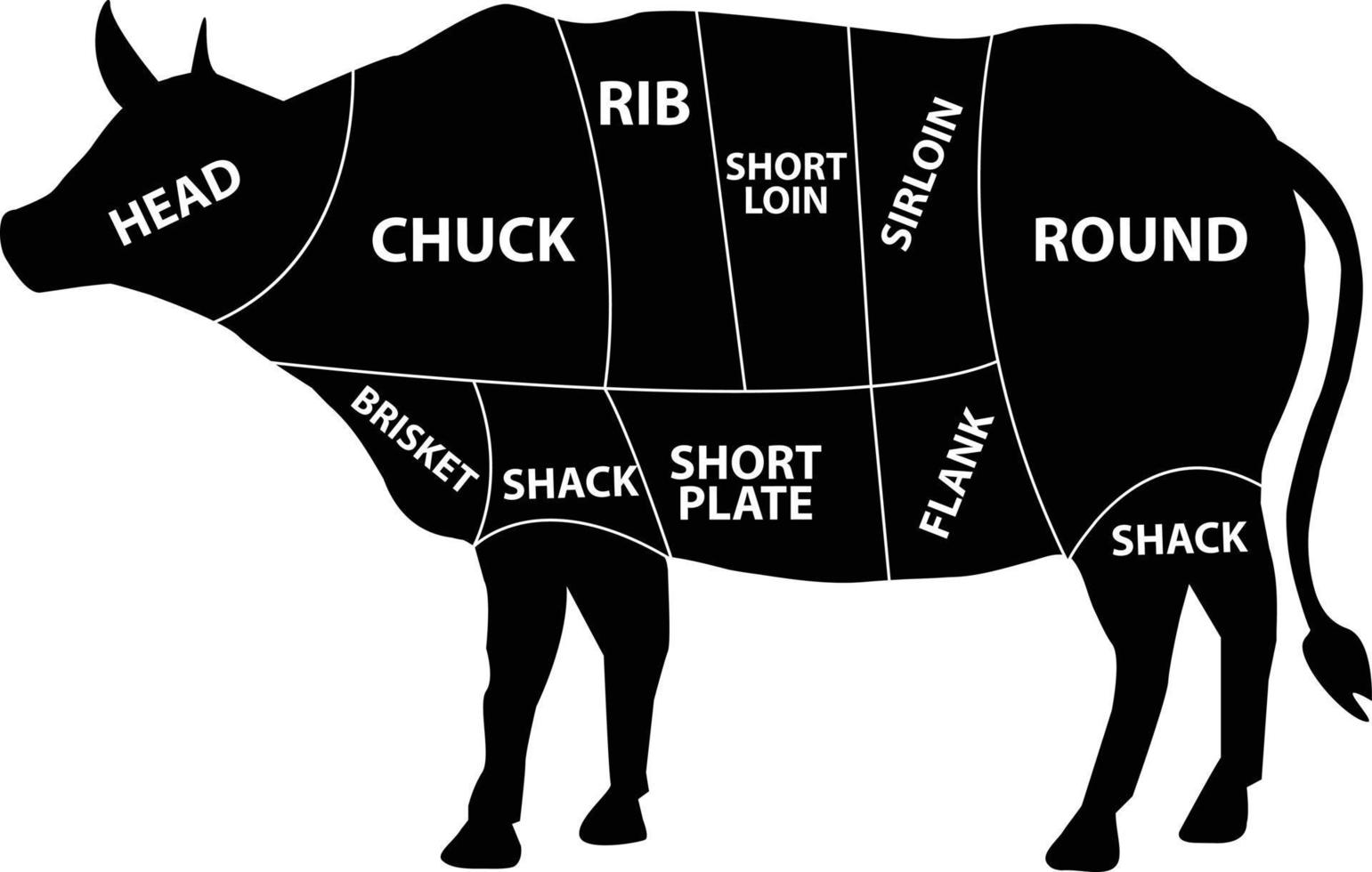 diagrama de carne de vaca sobre fondo blanco. corte de conjunto de carne de res. silueta de vaca con tabla de cortes de carne. estilo plano vector