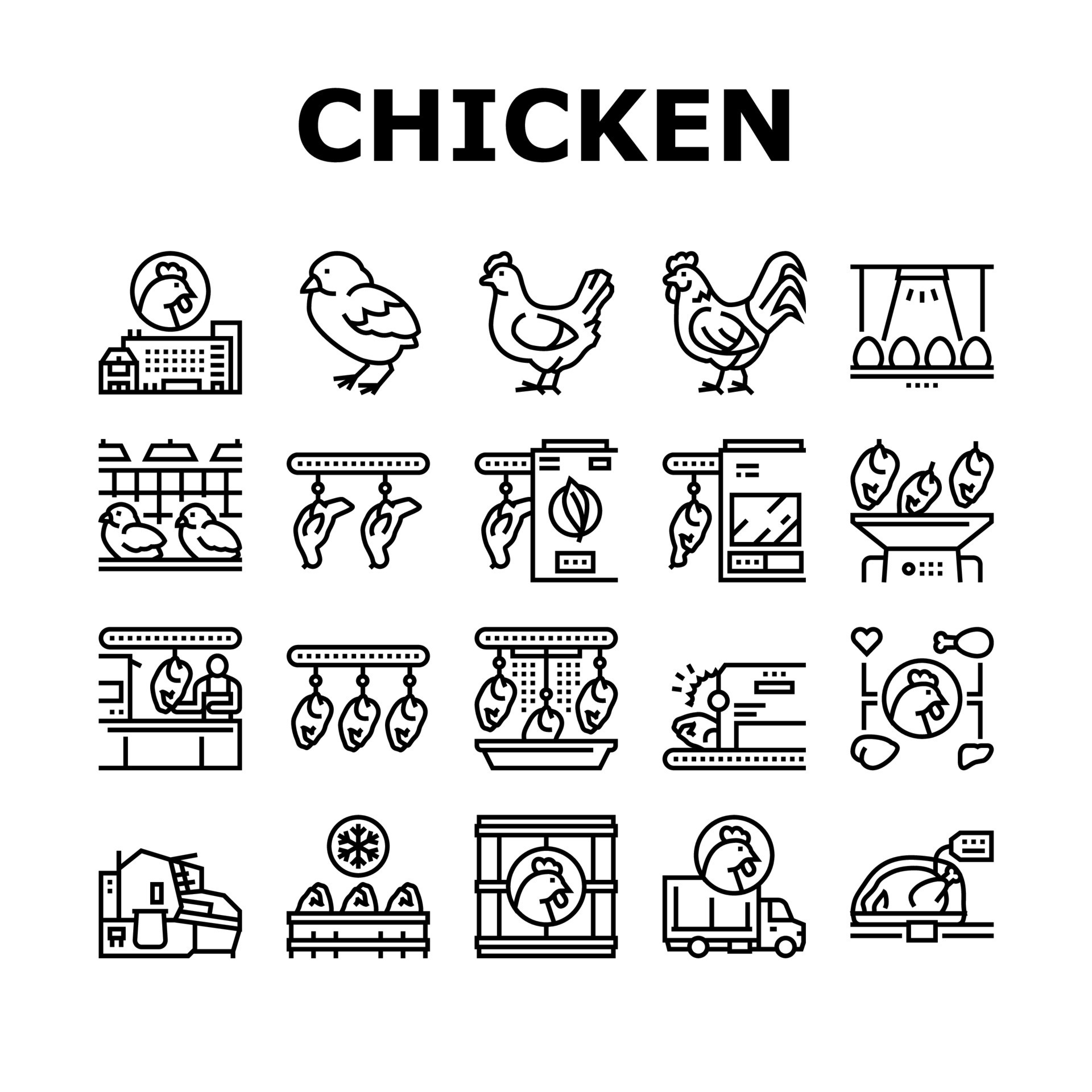 Chicken Meat Factory Collection Icons Set Vector 10311224 Vector Art at