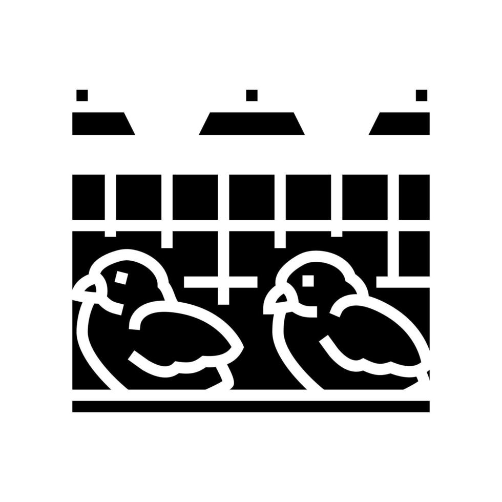 chick in poultry farm glyph icon vector illustration