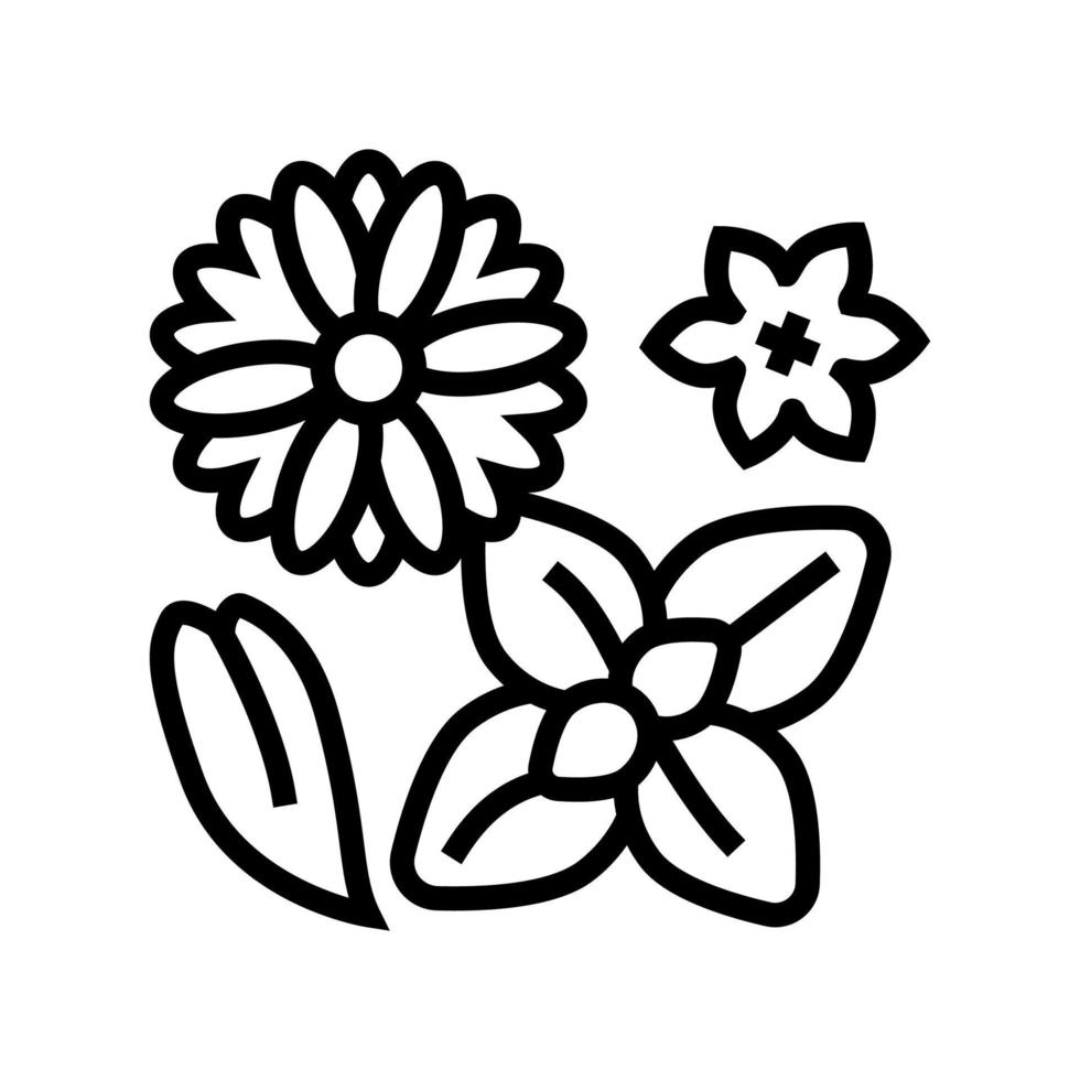 flowers phytotherapy line icon vector illustration