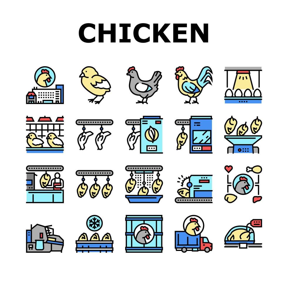 Chicken Meat Factory Collection Icons Set Vector