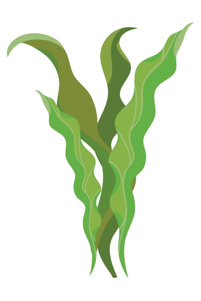 icono de algas marinas vector