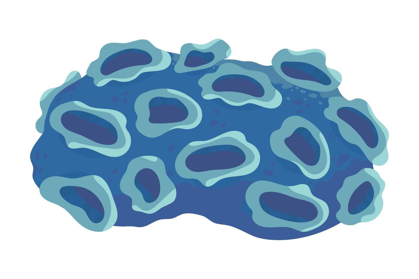 coral sea icon vector